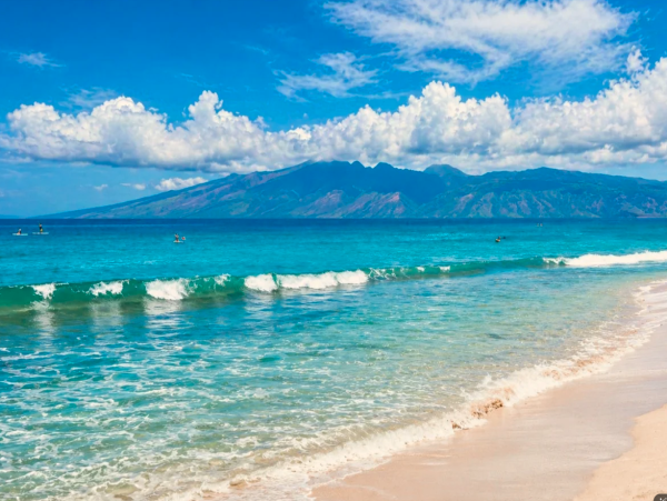 Luxurious Maui Retreat -Exclusive Villas for Unforgettable Vacations